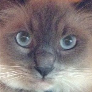 Meet your Posher, Christina